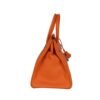 Orange Epsom mit Palladium-Beschlägen 35cm - Image 4