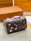 LV x TM Speedy Bandoulière 20 cm - Image 5