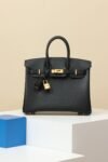 Birkin 25 Black/Gold Epsom - Image 9