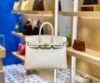Birkin Togo 25 Whitee/Creme - Image 2