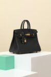 Birkin 25 Togo/Black Gold - Image 3